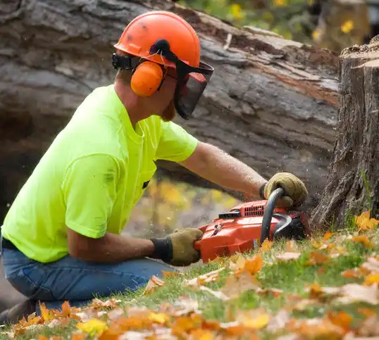 tree services Peconic